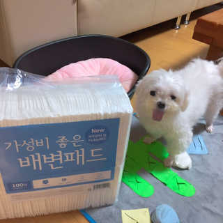 니코니코니님이 올린 리뷰 사진 3