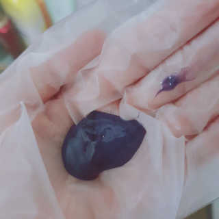 리캘님이 올린 리뷰 사진 2