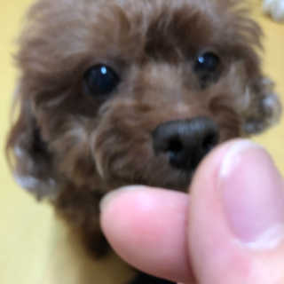 해니님이 올린 리뷰 사진 3