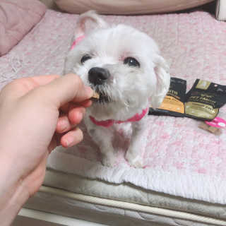 유니뀨님이 올린 리뷰 사진 2