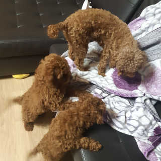 seni님이 올린 리뷰 사진 4