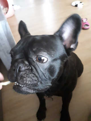 토르맘님이 올린 리뷰 사진 4