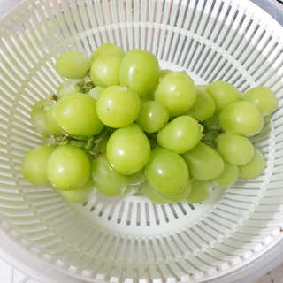 볼빨강한빨강이님이 올린 리뷰 사진 1