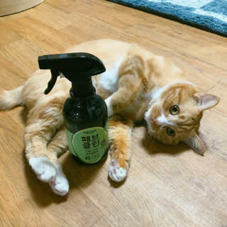 더블유드레스룸 페브클린 500ml — 4.83점을 준 리뷰어가 2018년 8월 올린 사용 사진