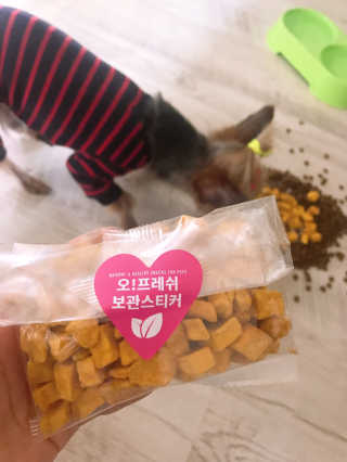 김콩콩님이 올린 리뷰 사진 2