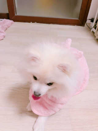 오정선님이 올린 리뷰 사진 2