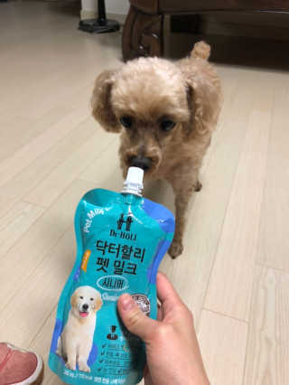 닥터할리펫밀크 8종 — 3.5점을 준 리뷰어가 2019년 6월 올린 사용 사진