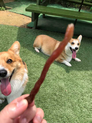 YejiChoi님이 올린 리뷰 사진 2