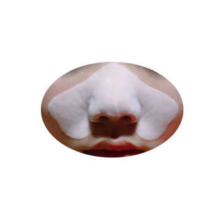 화영님이 올린 리뷰 사진 2
