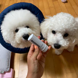 성화꽃님이 올린 리뷰 사진 2