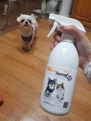 또자님이 올린 리뷰 사진 1