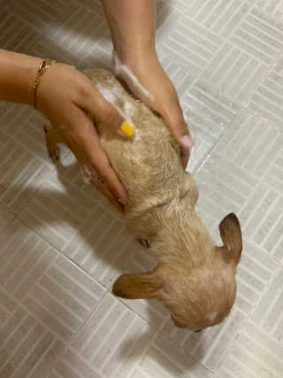 강수경님이 올린 리뷰 사진 1