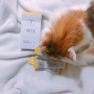 nothing님이 올린 리뷰 사진 1