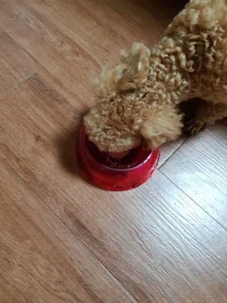 하승님이 올린 리뷰 사진 4