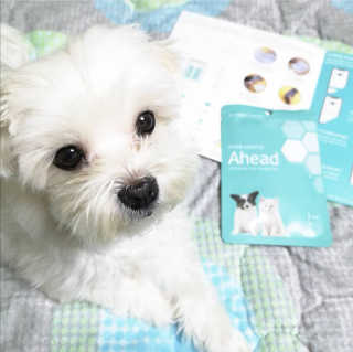 alllove님이 올린 리뷰 사진 3