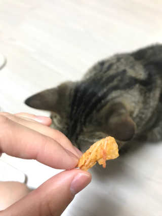 랑이설이님이 올린 리뷰 사진 3