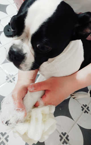 jeinok님이 올린 리뷰 사진 3