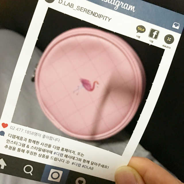 돌아온 팡팡파우치(테슬증정) 리뷰 사진