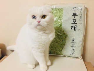 화이집사님이 올린 리뷰 사진 3