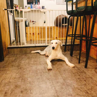 얍님이 올린 리뷰 사진 3