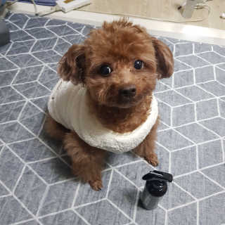 희야님이 올린 리뷰 사진 1