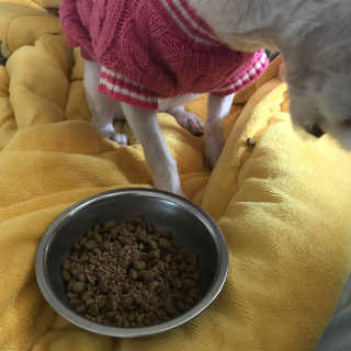 토리님이 올린 리뷰 사진 1