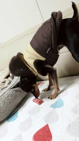 도도님이 올린 리뷰 사진 3