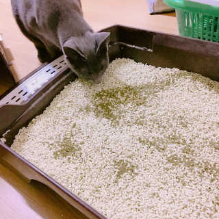 율집사님이 올린 리뷰 사진 3