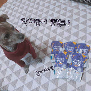 닥터할리펫밀크 8종 — 5점을 준 리뷰어가 2018년 9월 올린 사용 사진