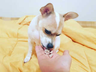남초롱님이 올린 리뷰 사진 1