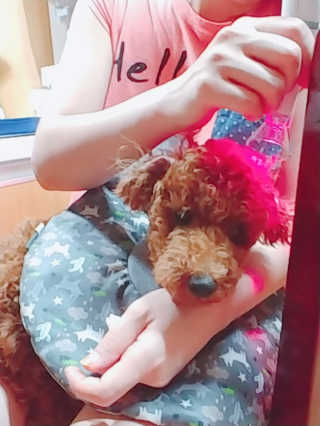 너구리양님이 올린 리뷰 사진 4