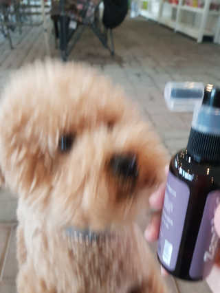 꾸꾸엄마님이 올린 리뷰 사진 2