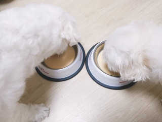 진짠님이 올린 리뷰 사진 1
