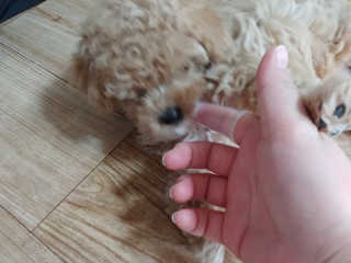 하은영님이 올린 리뷰 사진 3