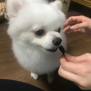 rtzd님이 올린 리뷰 사진 3