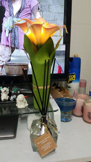 앵티님이 올린 리뷰 사진 2