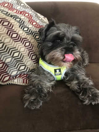 NapaValleyCyndi님이 올린 리뷰 사진 4