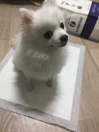 horim님이 올린 리뷰 사진 1