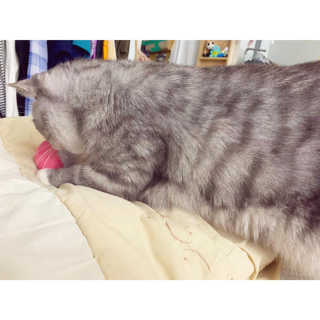 호고미야님이 올린 리뷰 사진 4