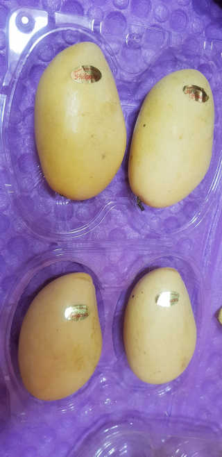 이영실님이 올린 리뷰 사진 1