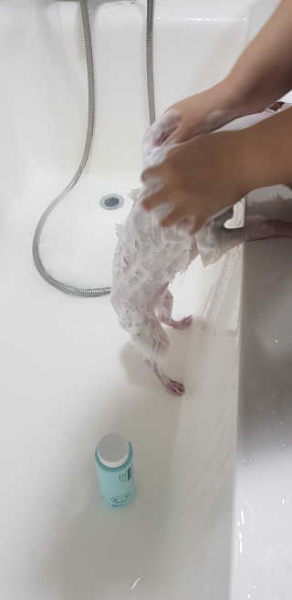 푸카카님이 올린 리뷰 사진 4