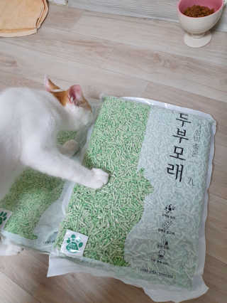 효성님이 올린 리뷰 사진 1