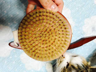 쿠키쿠님이 올린 리뷰 사진 2