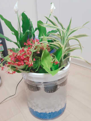 쭈앙이쭈님이 올린 리뷰 사진 3