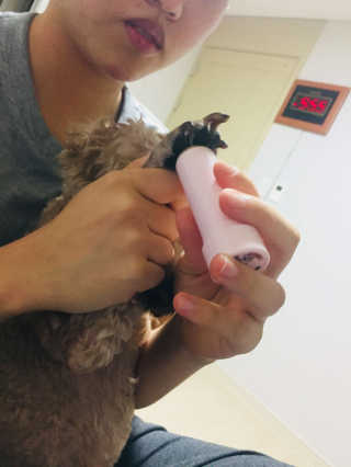 선샤인님이 올린 리뷰 사진 4