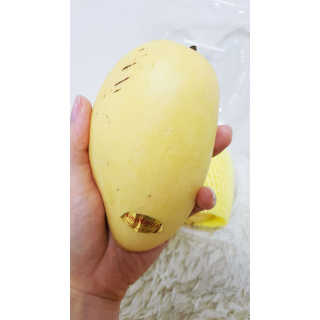 심예람님이 올린 리뷰 사진 2