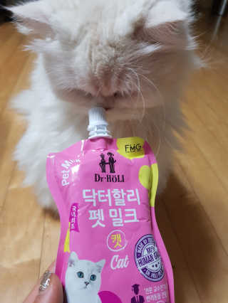 닥터할리펫밀크 8종 — 5점을 준 리뷰어가 2019년 12월 올린 사용 사진