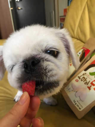 황지은님이 올린 리뷰 사진 1