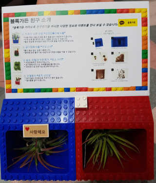 몽실몽실님이 올린 리뷰 사진 2