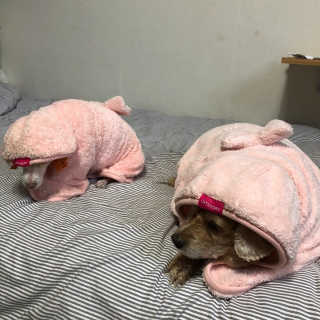은지님이 올린 리뷰 사진 3